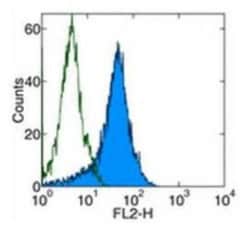VEGFR2/KDR/Flk-1 Rat anti-Mouse, Clone: Avas12a1, Novus Biologicals 0.025